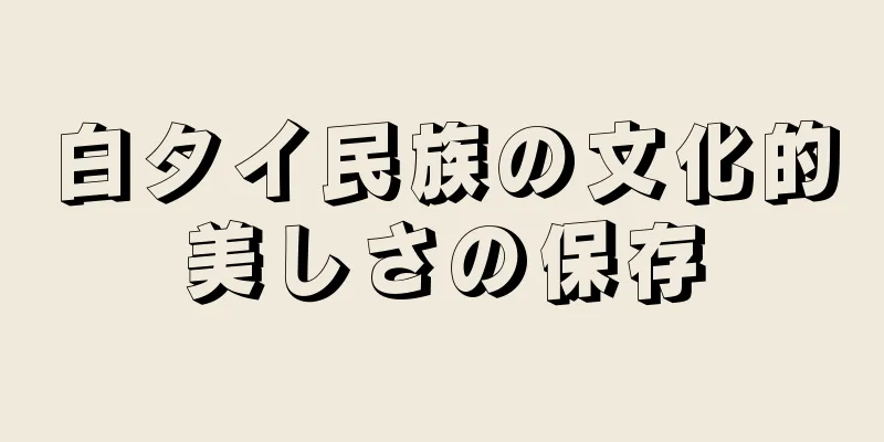 白タイ民族の文化的美しさの保存