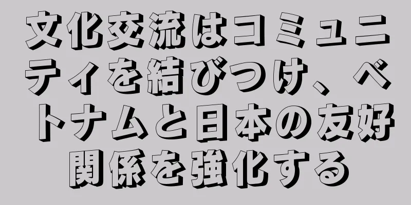 文化交流はコミュニティを結びつけ、ベトナムと日本の友好関係を強化する