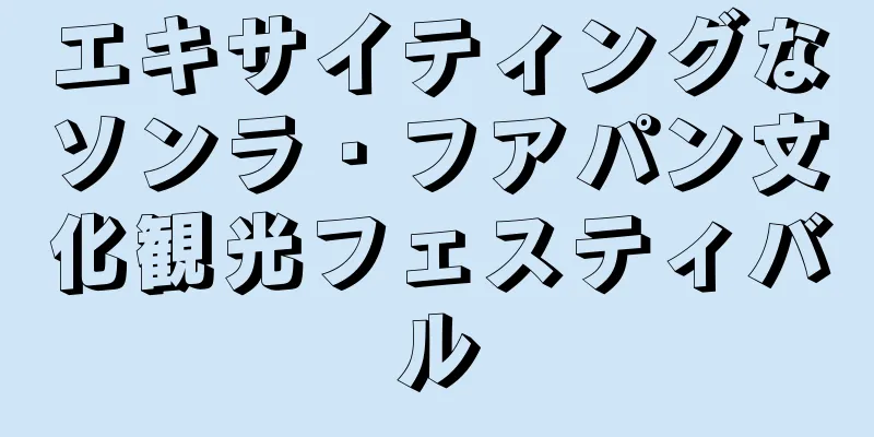 エキサイティングなソンラ・フアパン文化観光フェスティバル