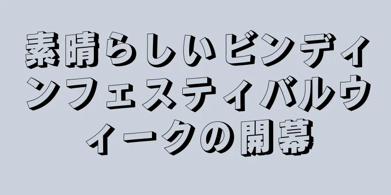素晴らしいビンディンフェスティバルウィークの開幕