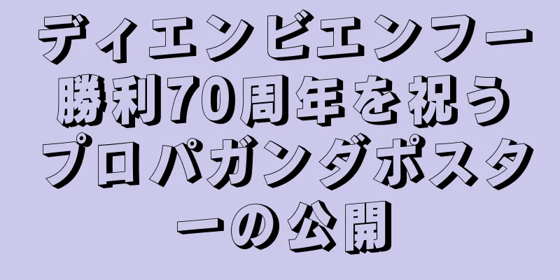 ディエンビエンフー勝利70周年を祝うプロパガンダポスターの公開