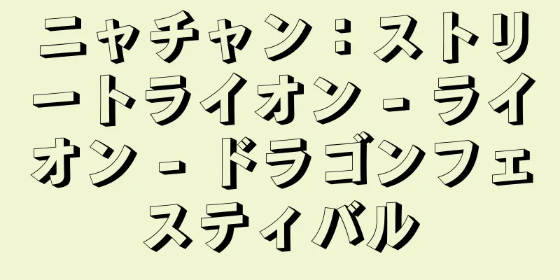 ニャチャン：ストリートライオン - ライオン - ドラゴンフェスティバル