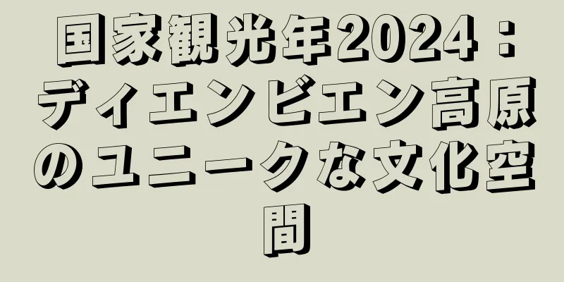 国家観光年2024：ディエンビエン高原のユニークな文化空間