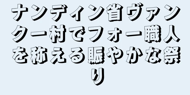 ナンディン省ヴァンクー村でフォー職人を称える賑やかな祭り