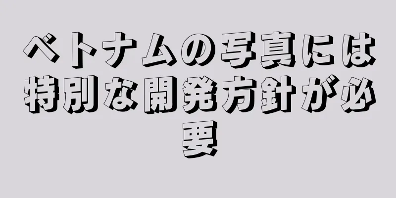 ベトナムの写真には特別な開発方針が必要