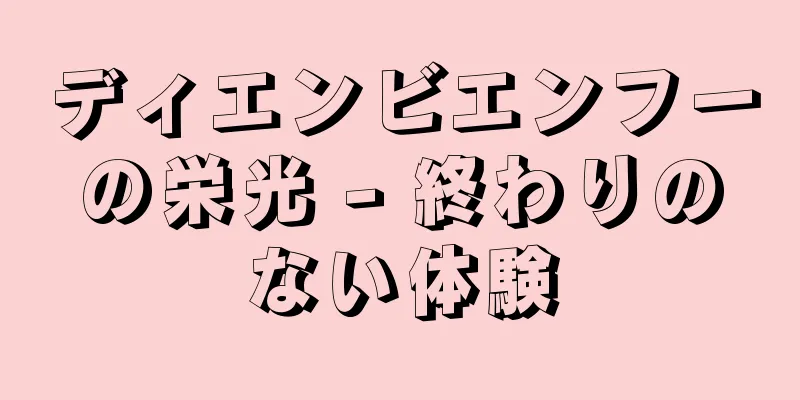 ディエンビエンフーの栄光 - 終わりのない体験