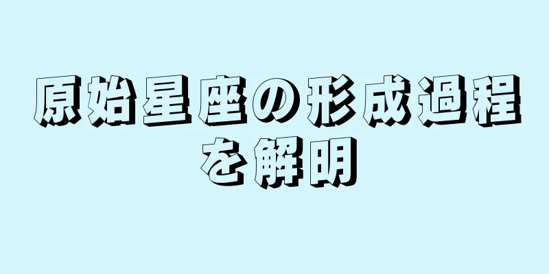 原始星座の形成過程を解明