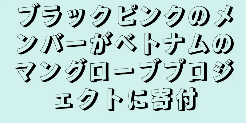 ブラックピンクのメンバーがベトナムのマングローブプロジェクトに寄付