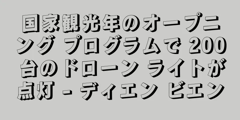 国家観光年のオープニング プログラムで 200 台のドローン ライトが点灯 - ディエン ビエン