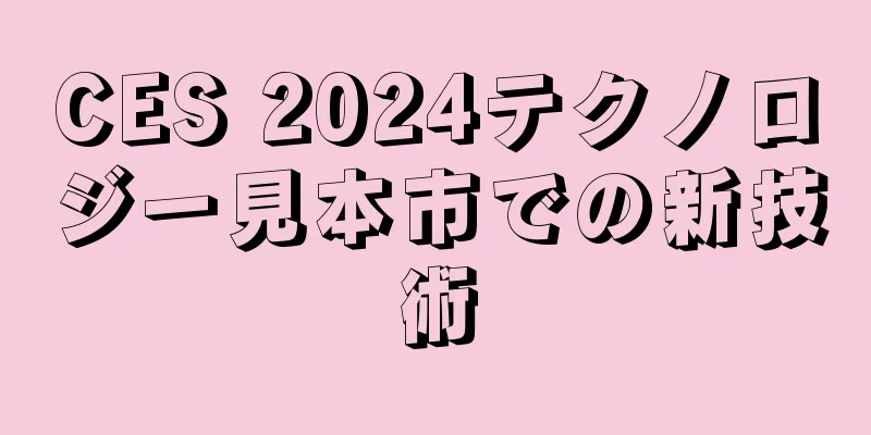 CES 2024テクノロジー見本市での新技術
