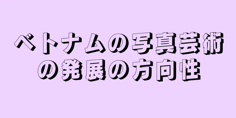 ベトナムの写真芸術の発展の方向性