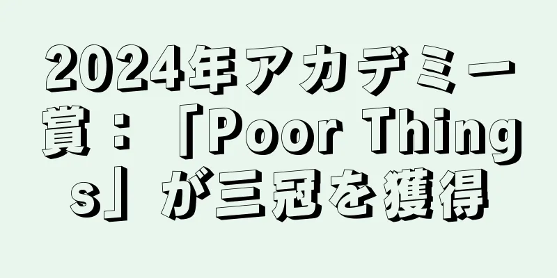 2024年アカデミー賞：「Poor Things」が三冠を獲得