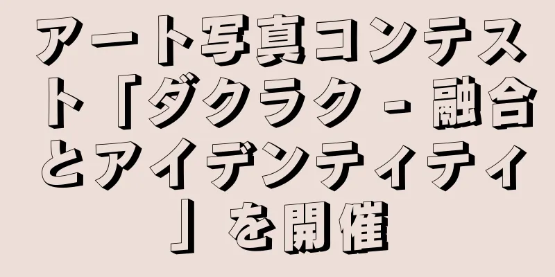 アート写真コンテスト「ダクラク - 融合とアイデンティティ」を開催