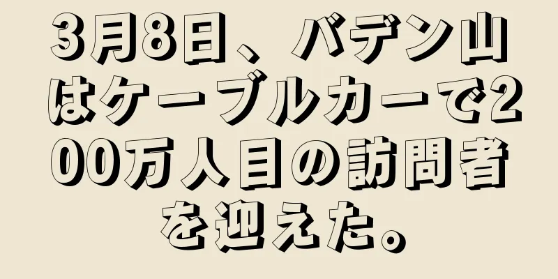 3月8日、バデン山はケーブルカーで200万人目の訪問者を迎えた。
