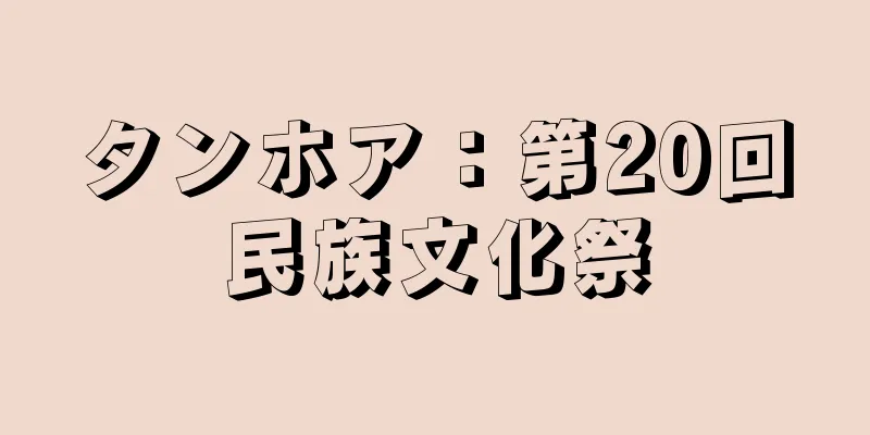 タンホア：第20回民族文化祭