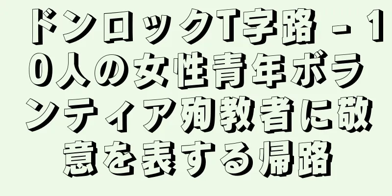 ドンロックT字路 - 10人の女性青年ボランティア殉教者に敬意を表する帰路