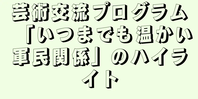 芸術交流プログラム「いつまでも温かい軍民関係」のハイライト