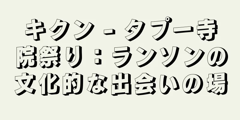 キクン - タプー寺院祭り：ランソンの文化的な出会いの場