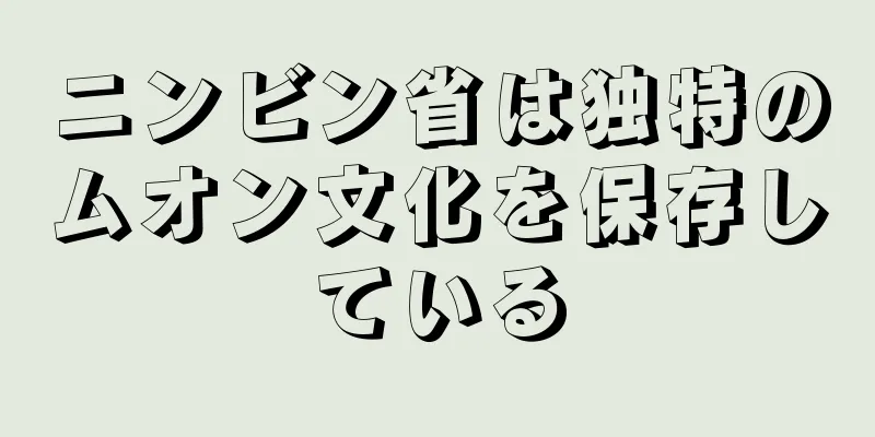 ニンビン省は独特のムオン文化を保存している