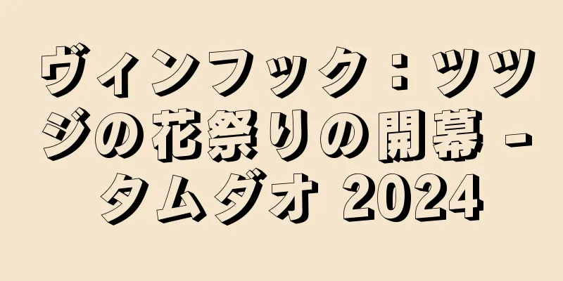 ヴィンフック：ツツジの花祭りの開幕 - タムダオ 2024