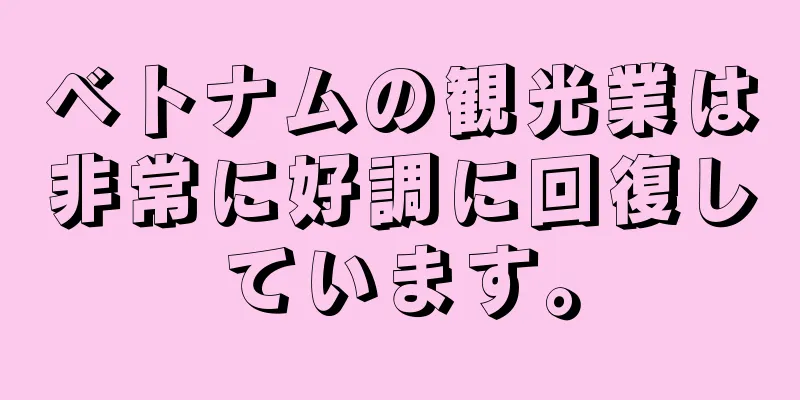 ベトナムの観光業は非常に好調に回復しています。