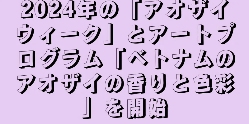 2024年の「アオザイウィーク」とアートプログラム「ベトナムのアオザイの香りと色彩」を開始