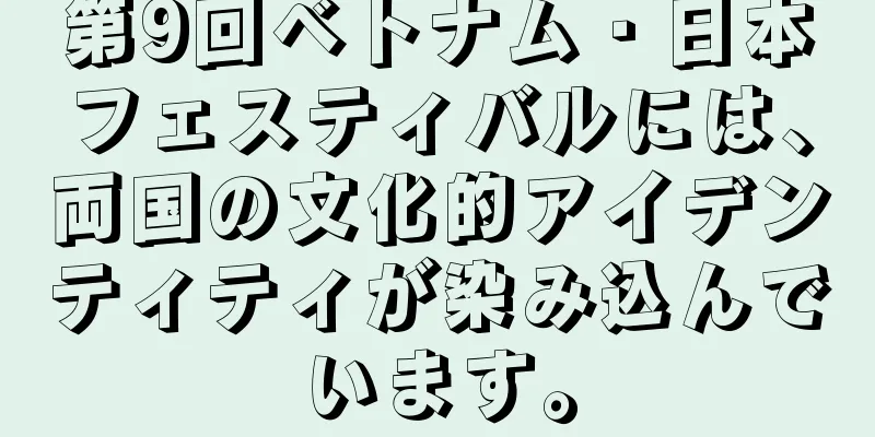 第9回ベトナム・日本フェスティバルには、両国の文化的アイデンティティが染み込んでいます。