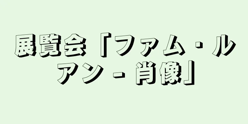 展覧会「ファム・ルアン - 肖像」