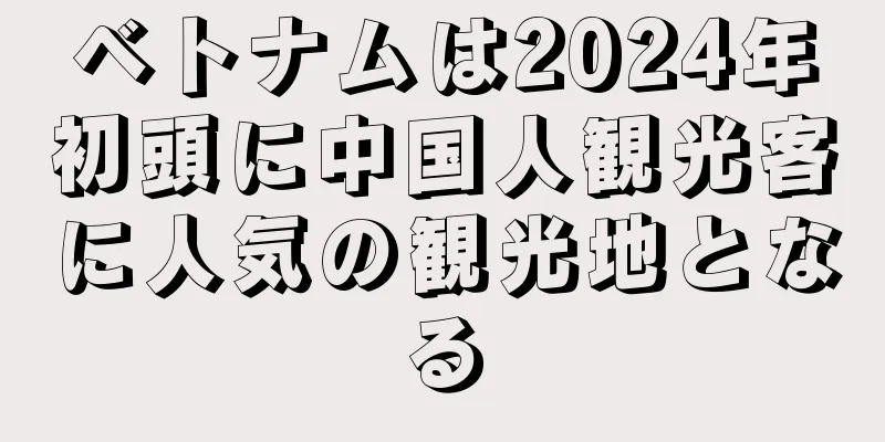 ベトナムは2024年初頭に中国人観光客に人気の観光地となる