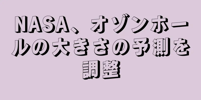 NASA、オゾンホールの大きさの予測を調整
