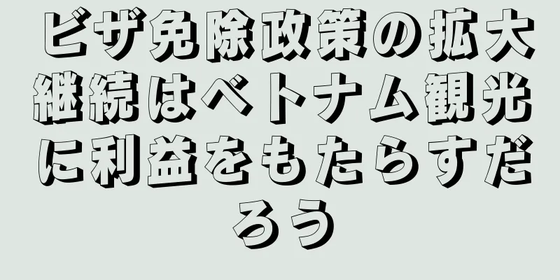 ビザ免除政策の拡大継続はベトナム観光に利益をもたらすだろう