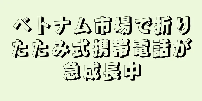 ベトナム市場で折りたたみ式携帯電話が急成長中