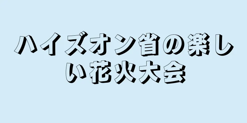 ハイズオン省の楽しい花火大会
