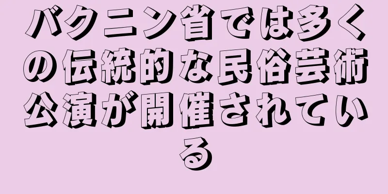 バクニン省では多くの伝統的な民俗芸術公演が開催されている