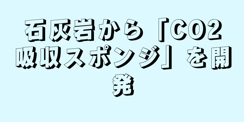 石灰岩から「CO2吸収スポンジ」を開発