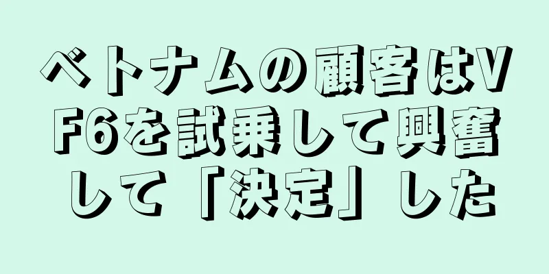 ベトナムの顧客はVF6を試乗して興奮して「決定」した