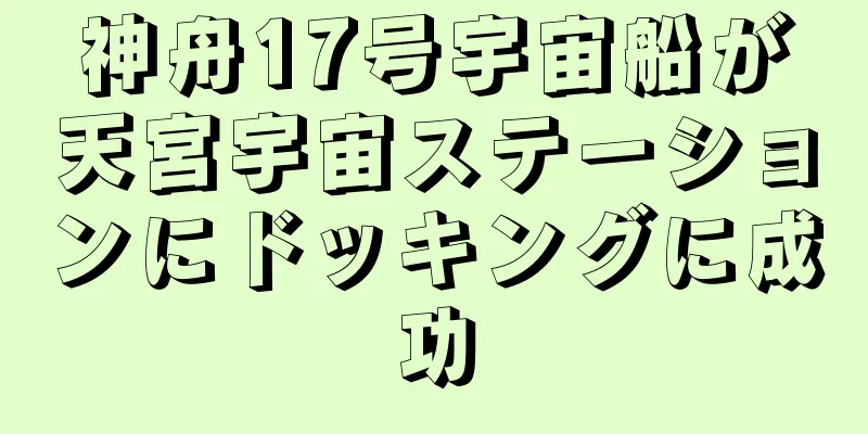 神舟17号宇宙船が天宮宇宙ステーションにドッキングに成功