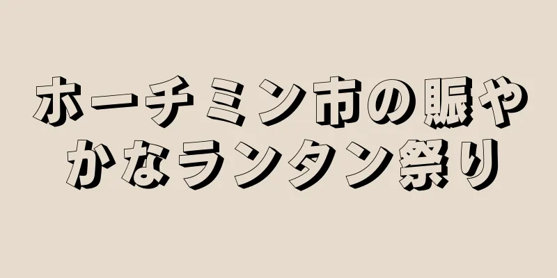 ホーチミン市の賑やかなランタン祭り