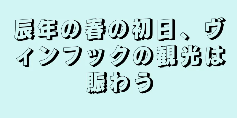 辰年の春の初日、ヴィンフックの観光は賑わう