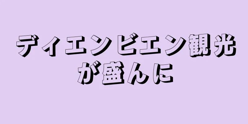 ディエンビエン観光が盛んに