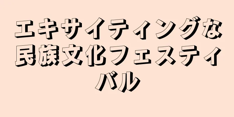 エキサイティングな民族文化フェスティバル