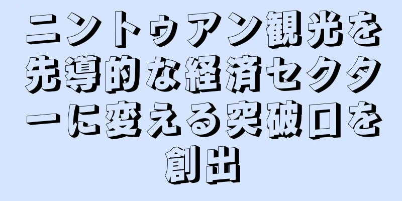 ニントゥアン観光を先導的な経済セクターに変える突破口を創出