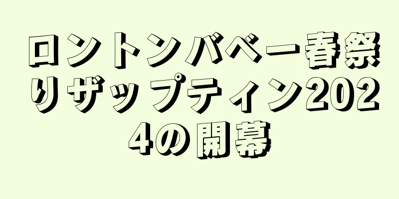 ロントンバベー春祭りザップティン2024の開幕
