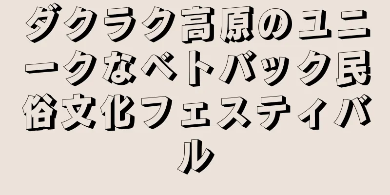ダクラク高原のユニークなベトバック民俗文化フェスティバル