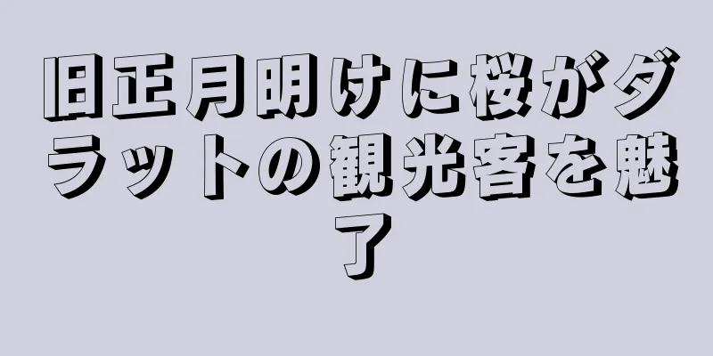 旧正月明けに桜がダラットの観光客を魅了