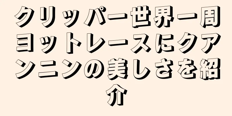 クリッパー世界一周ヨットレースにクアンニンの美しさを紹介