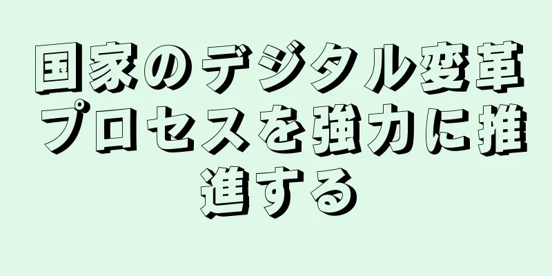 国家のデジタル変革プロセスを強力に推進する