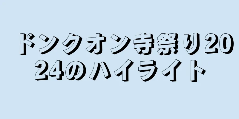ドンクオン寺祭り2024のハイライト