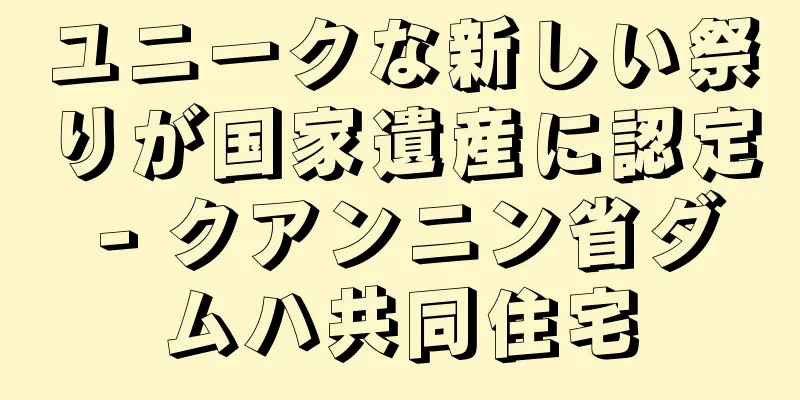 ユニークな新しい祭りが国家遺産に認定 - クアンニン省ダムハ共同住宅
