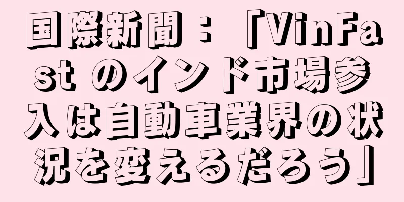国際新聞：「VinFast のインド市場参入は自動車業界の状況を変えるだろう」